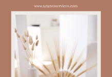 How You Got To 50,000 Monthly Viewers In Just 1 Month!